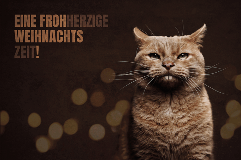 KATZENKARTE "Frohherzige Weihnachten" DIN A6