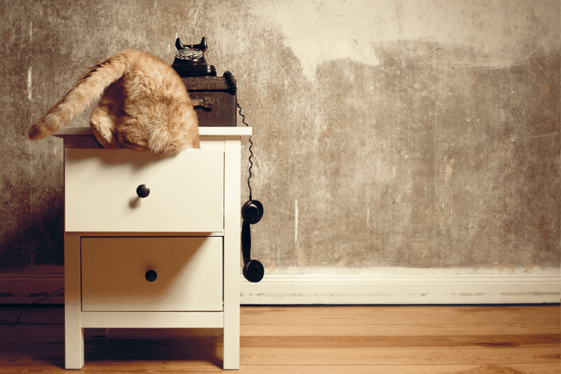 "Abtauchen" | POSTKARTE DIN A6 | B-Ware