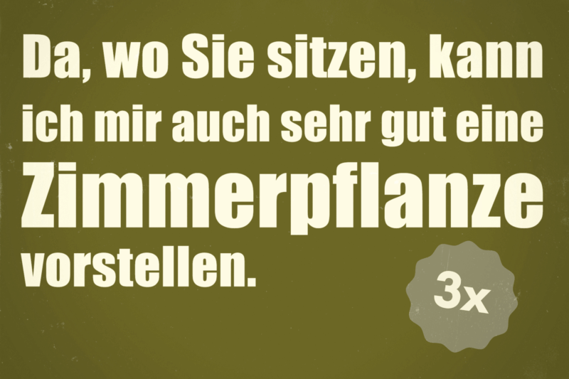 3x POSTKARTE "Zimmerpflanze" DIN A6 | B-Ware